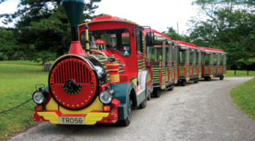 Bermuda Train Rides